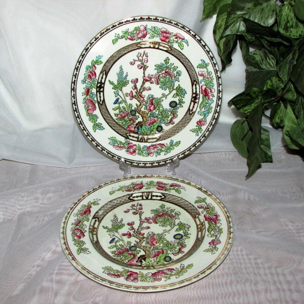 2 Alfred Meakin The India Tree Salad or Luncheon Plates 8" Vintage Hand Tinted
